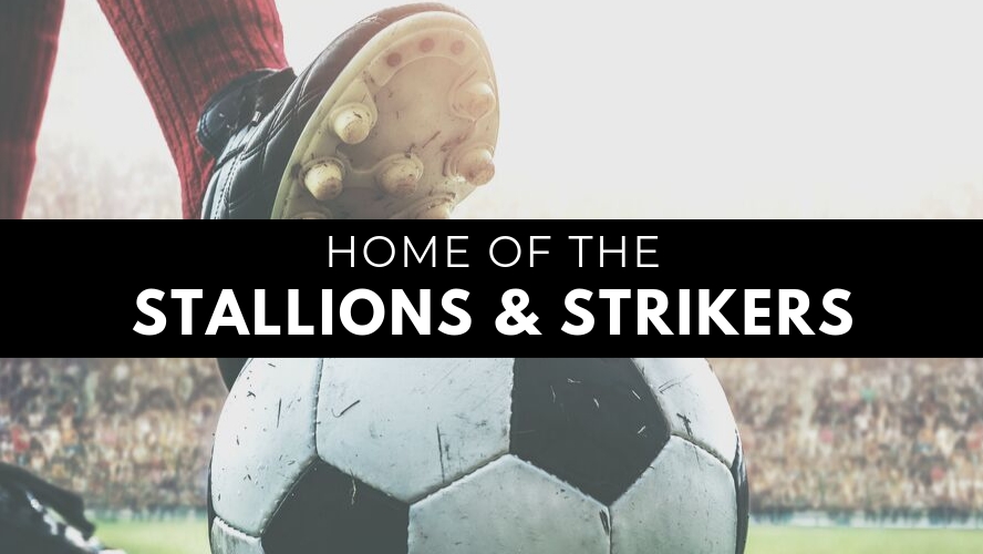 Woodstock Soccer Club | 895 Ridgewood Dr, Woodstock, ON N4T 0A6, Canada | Phone: (519) 421-0030