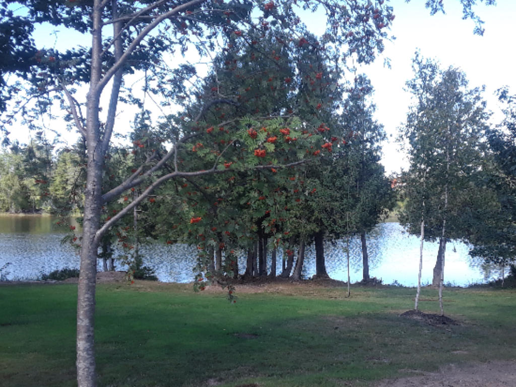 Camping Eau Ti-Bonheur | 740 Chem. St Charles S, Paroisse de Saint-Charles, NB E4W 4X7, Canada | Phone: (506) 850-4590