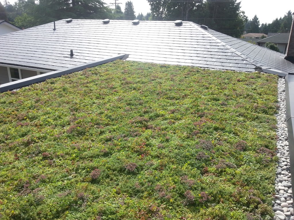 BestWest Roofing Inc | 12 E Royal Ave #1, New Westminster, BC V3L 0B7, Canada | Phone: (604) 779-5317