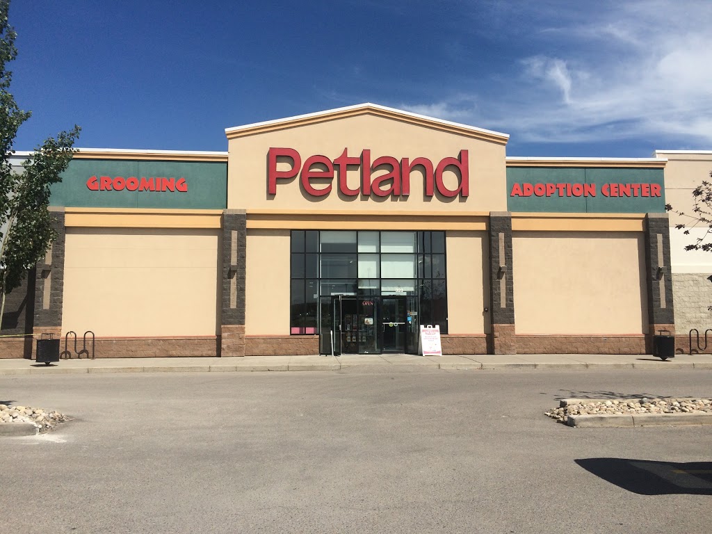 Petland | 130 Country Village Rd NE #323, Calgary, AB T3K 5Z2, Canada | Phone: (403) 226-4045
