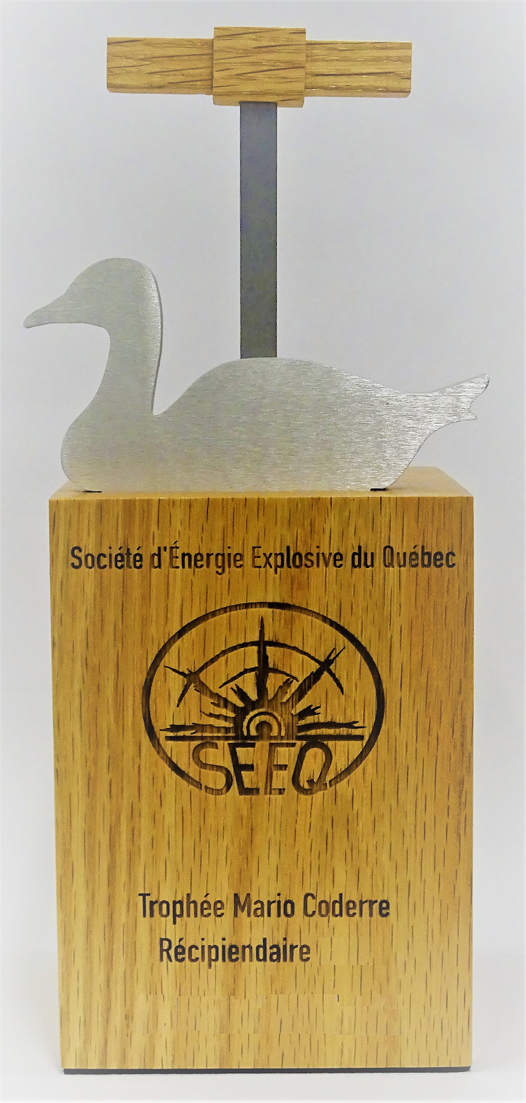 Société dénergie explosive du Québec | 2700, rue Einstein, Bloc, F. 2e etage, Québec, QC G1S 3W8, Canada | Phone: (581) 814-2700