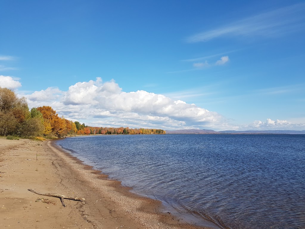 Black Bear Camp | W Branch Rd, Webbwood, ON P0P 2G0, Canada | Phone: (705) 869-6060