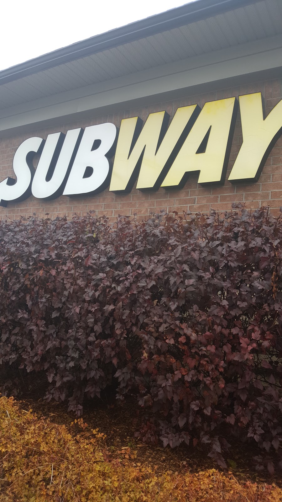 Subway | 20 Carrefour Du Plateau, Gatineau, QC J9A 3A2, Canada | Phone: (819) 775-4224