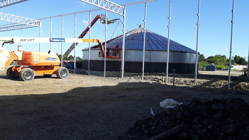 Klassen Greenhouse Farms Inc. | 63 Division Rd, Cottam, ON N0R 1B0, Canada | Phone: (519) 839-5600