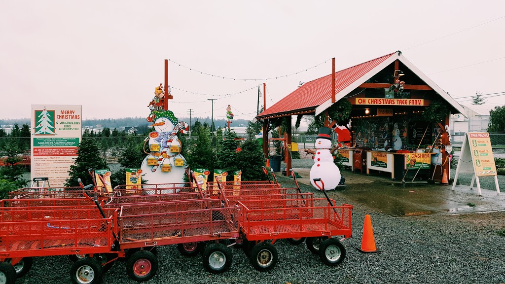 Oh Christmas Tree Farm | 21858 Maxwell Crescent, Langley City, BC V2Y 2P9, Canada | Phone: (604) 805-5052