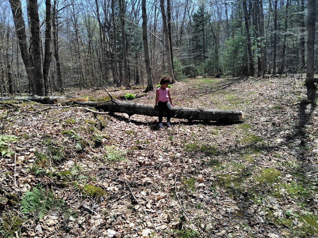 High Ponds Farm LLC | 478 Rossier Rd, Montgomery Center, VT 05471, USA | Phone: (802) 326-4799