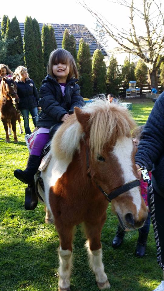 Sullivans Kiddie Caboose | 14187 62 Ave, Surrey, BC V3X 0B1, Canada | Phone: (604) 833-0747