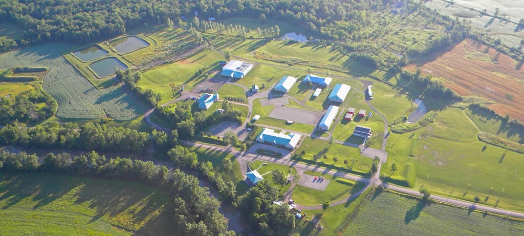 Niagara Adventure Camp | 6727 S Chippawa Rd, Wellandport, ON L0R 2J0, Canada | Phone: (905) 386-6203