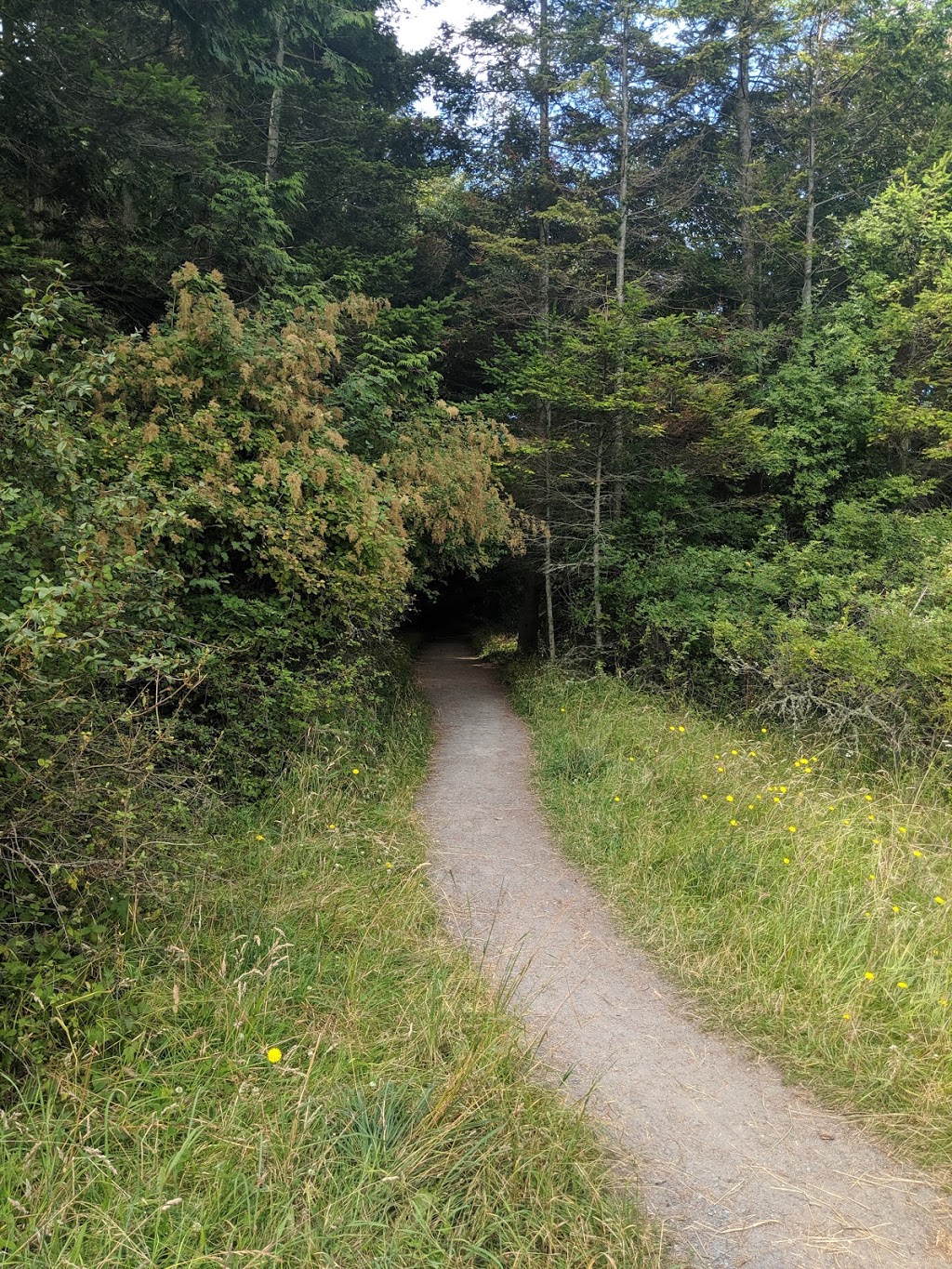 Watmough Bay, Chadwick Hill & Point Colville | 165 Chadwick Rd, Lopez Island, WA 98261, USA