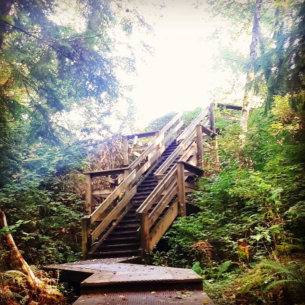 Miller Park Off-Leash Area | 871 Oakview St, Coquitlam, BC V3J 4T6, Canada