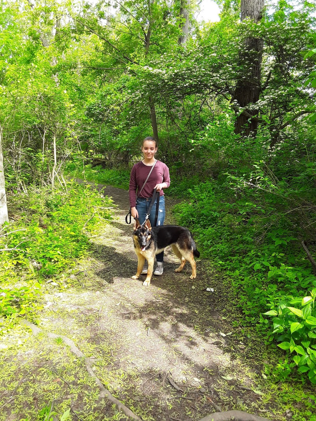 Glen Falls Parking | Unnamed Road, Williamsville, NY 14221, USA