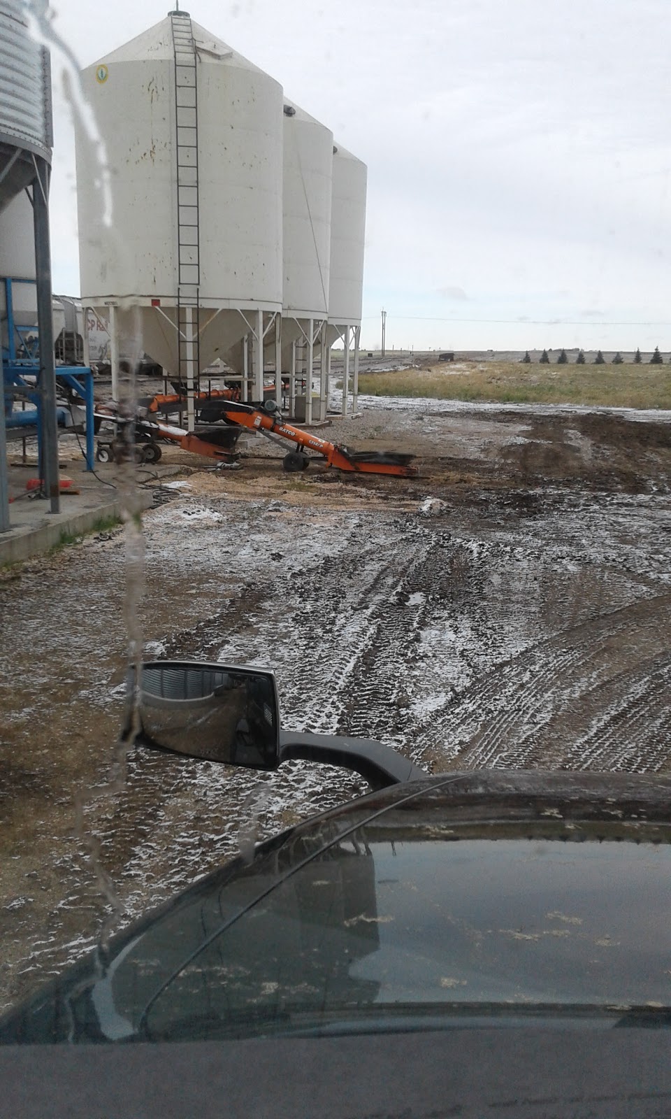 Simpson Seeds Inc | 1170 N Service Rd, Moose Jaw, SK S6K 4P8, Canada | Phone: (306) 693-2132