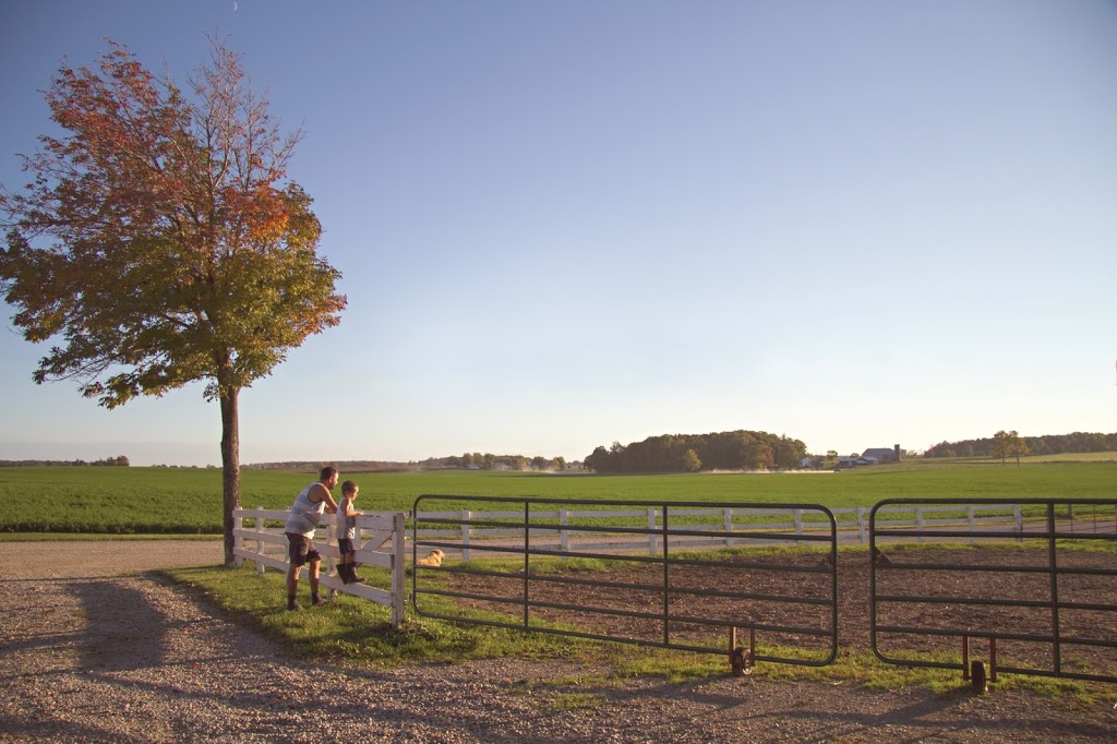Farmers Farmacy | 455 Dobbie Dr, Cambridge, ON N1T 1T1, Canada | Phone: (866) 527-6229