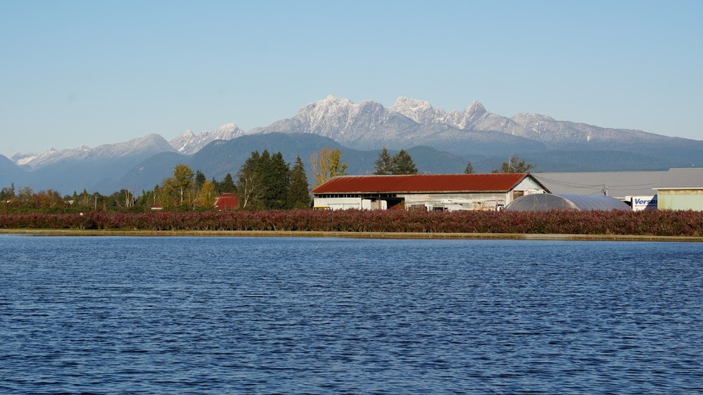 Highland Redi-Green Turf Farm | 16897 Windsor Rd, Pitt Meadows, BC V3Y 1Z1, Canada | Phone: (604) 465-9812