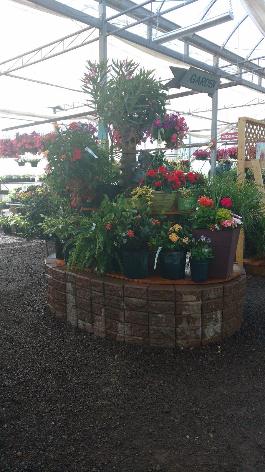 Johns Greenhouses Ltd. | 559 South Dr, Summerside, PE C1N 3Z6, Canada | Phone: (902) 436-3568