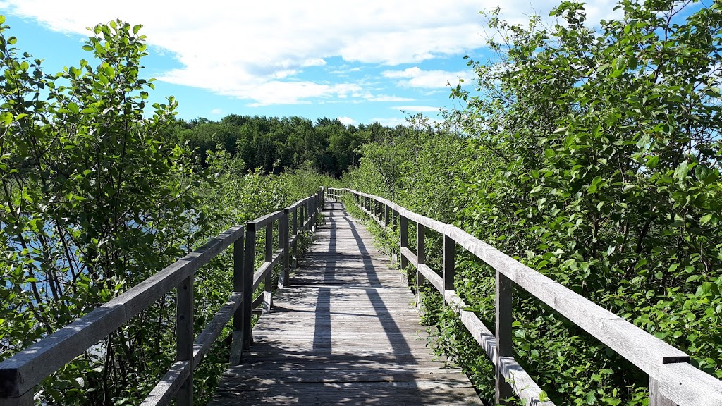 Marais de Ste-Catherine-de-Hatley | Sainte-Catherine-de-Hatley, QC J0B, Canada