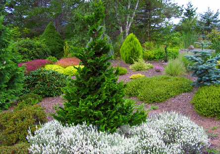 Bunchberry Nurseries | 2779 Nova Scotia Trunk 1, Annapolis Royal, NS B0S 1A0, Canada | Phone: (902) 532-7777