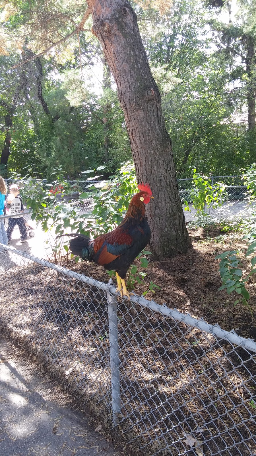 Sutherland Migratory Bird Sanctuary | University Heights Planning Area, Saskatoon, SK S7S 1G9, Canada | Phone: (800) 668-6767