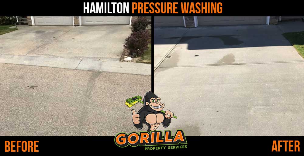 Gorilla Property Services | 2-558 Upper Gage Ave Ste 119, Hamilton, ON L8V 4J6, Canada | Phone: (905) 963-9059