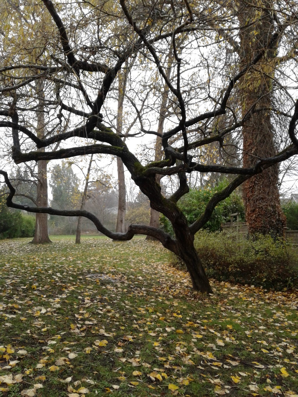 Bowker Creek Walkway Oak Bay | 1732 Armstrong Ave, Victoria, BC V8R 5S6, Canada | Phone: (250) 598-3311