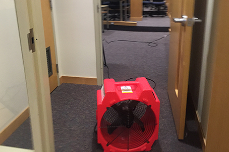 Royal Carpet Cleaning | 40 Regan Rd, Brampton, ON L7A 1B3, Canada | Phone: (905) 595-0912