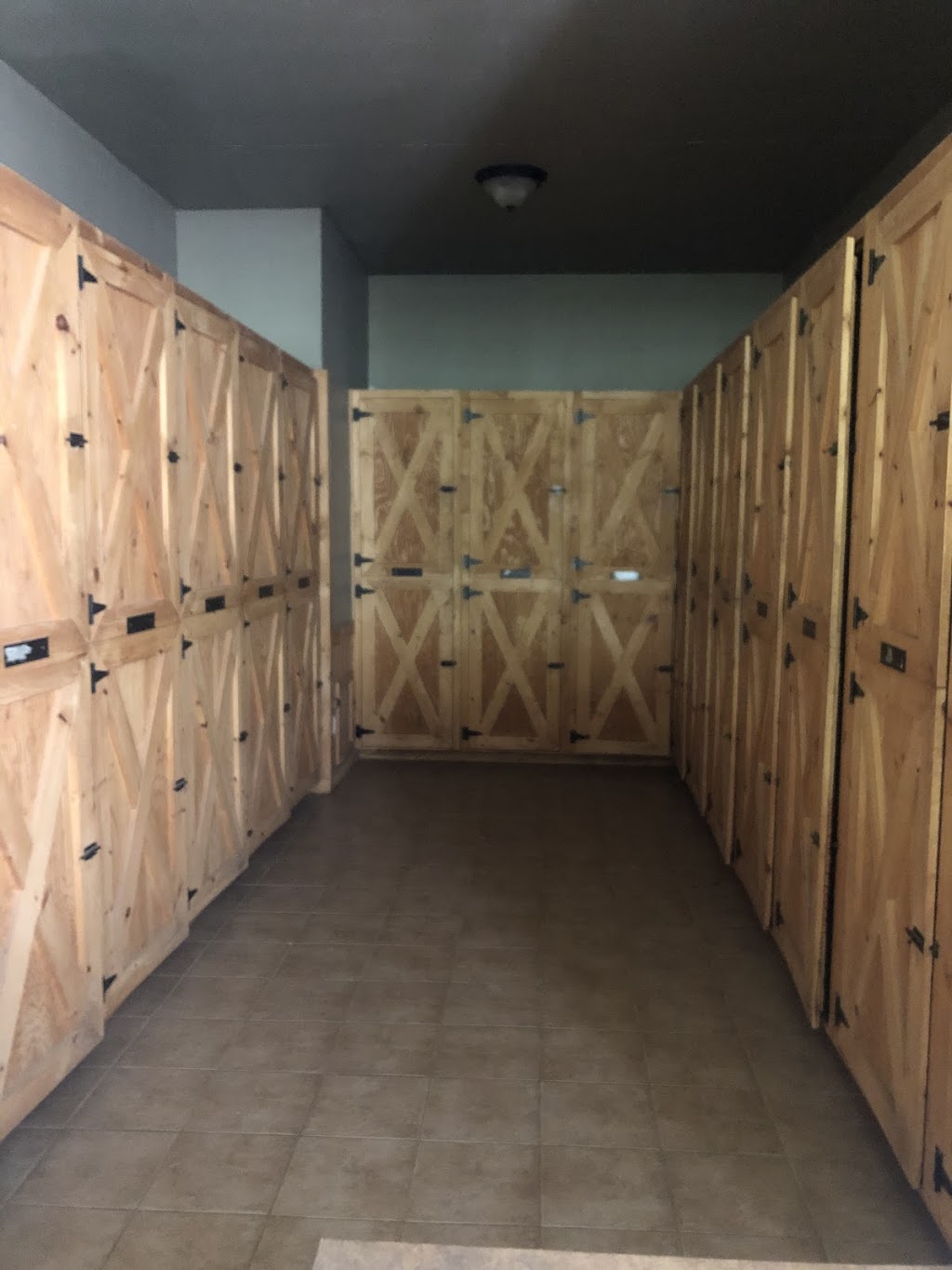 D7 Equestrian | 8285 Guelph Line, Campbellville, ON L0P 1B0, Canada | Phone: (416) 475-3754