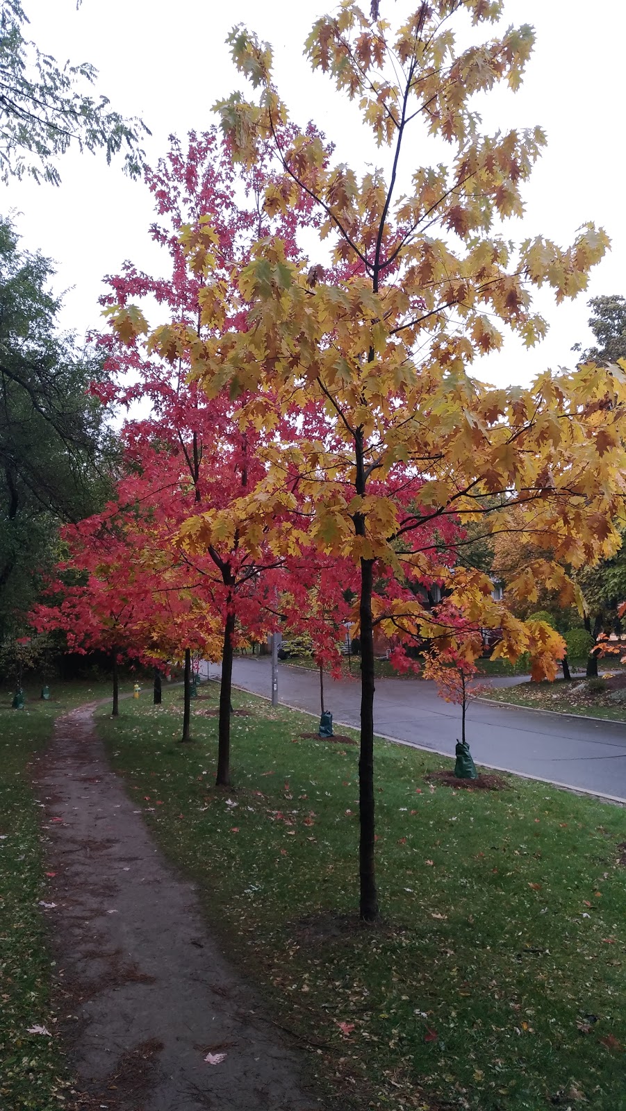 Viewmount Park | 169 Viewmount Ave, Toronto, ON M6B 1T5, Canada | Phone: (416) 338-4386