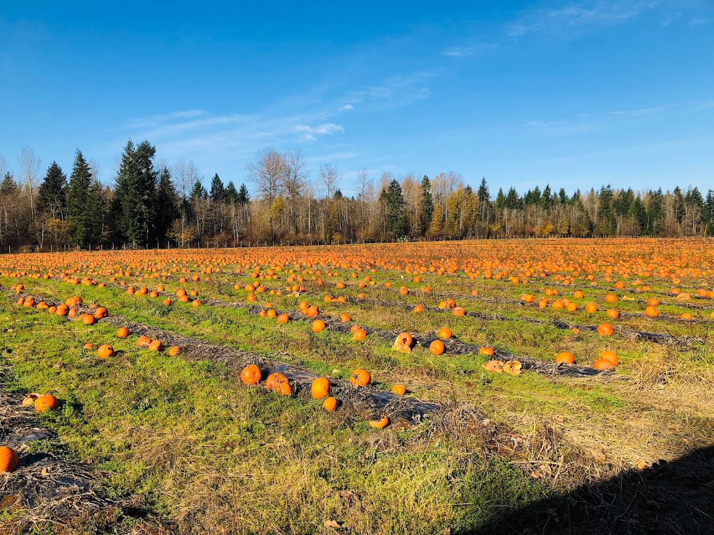 Coastal Black Estate Winery | 2186 Endall Rd, Black Creek, BC V9J 1G8, Canada | Phone: (250) 337-8325
