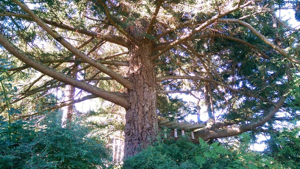Meadowlark Guest House | 444 Point Lawrence Rd, Olga, WA 98279, USA | Phone: (360) 376-3224