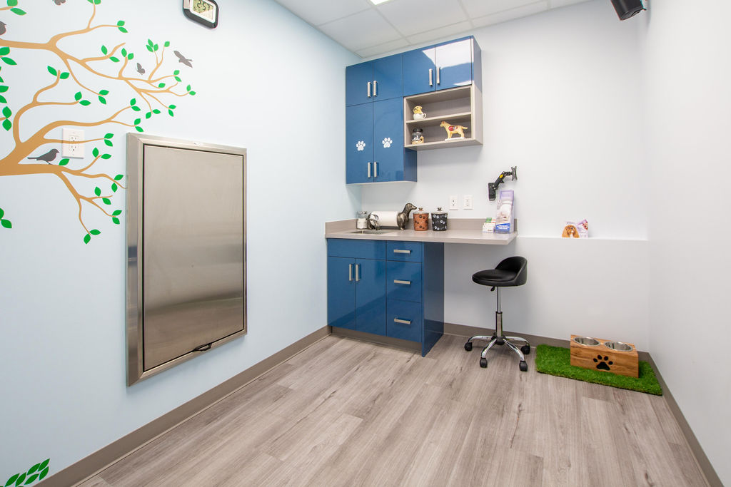Ambleside Veterinary Hospital | 16412 Ellerslie Rd SW, Edmonton, AB T6W 4S8, Canada | Phone: (780) 433-0300