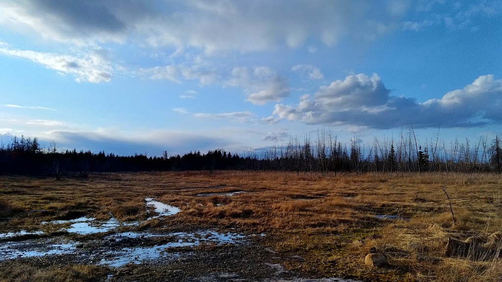 Lime Kiln Trail | Moodie Dr, Nepean, ON K2R 1H3, Canada