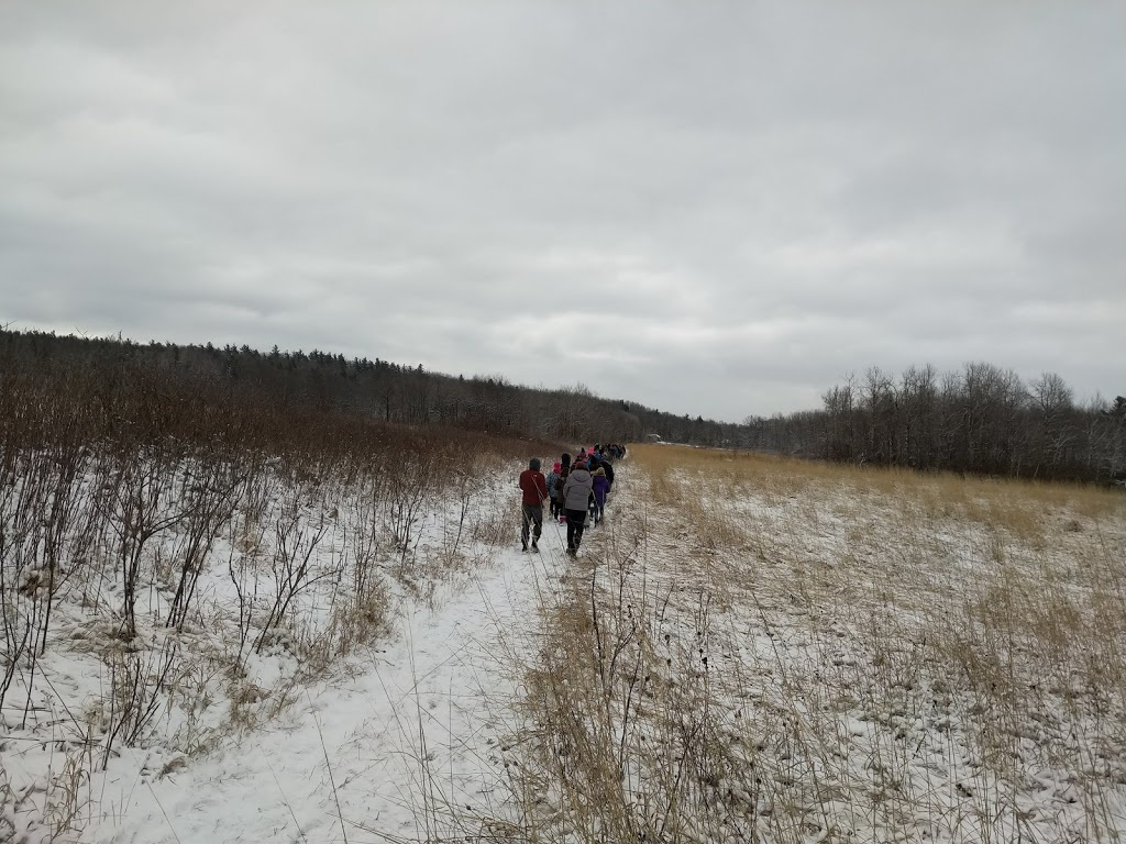 Alderville First Nation Black Oak Savanna | 8467 Northumberland County Rd 18, Roseneath, ON K0K 2X0, Canada | Phone: (905) 352-1008
