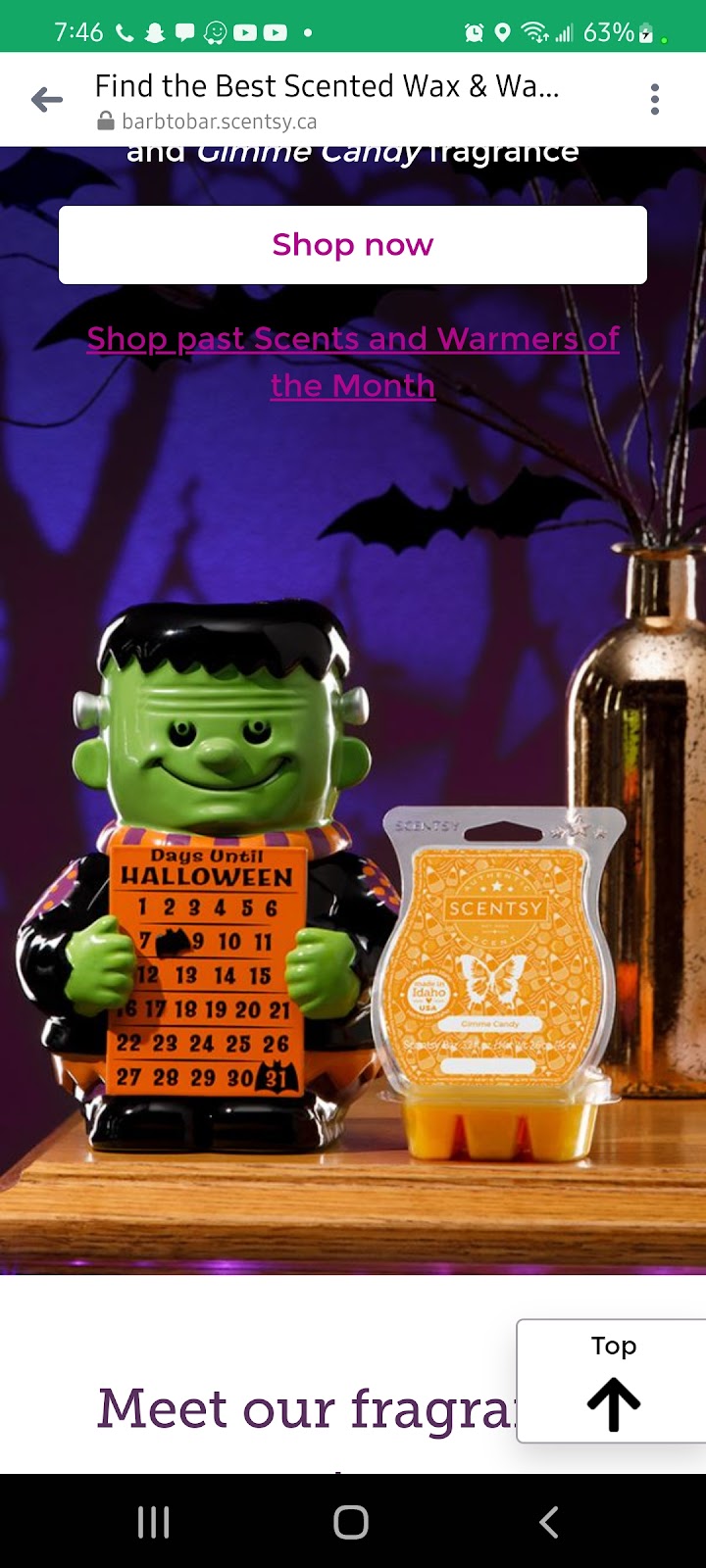 Independant Scentsy Consultant | 125 Champlain Blvd #27, Cambridge, ON N1R 2X6, Canada | Phone: (226) 220-9718