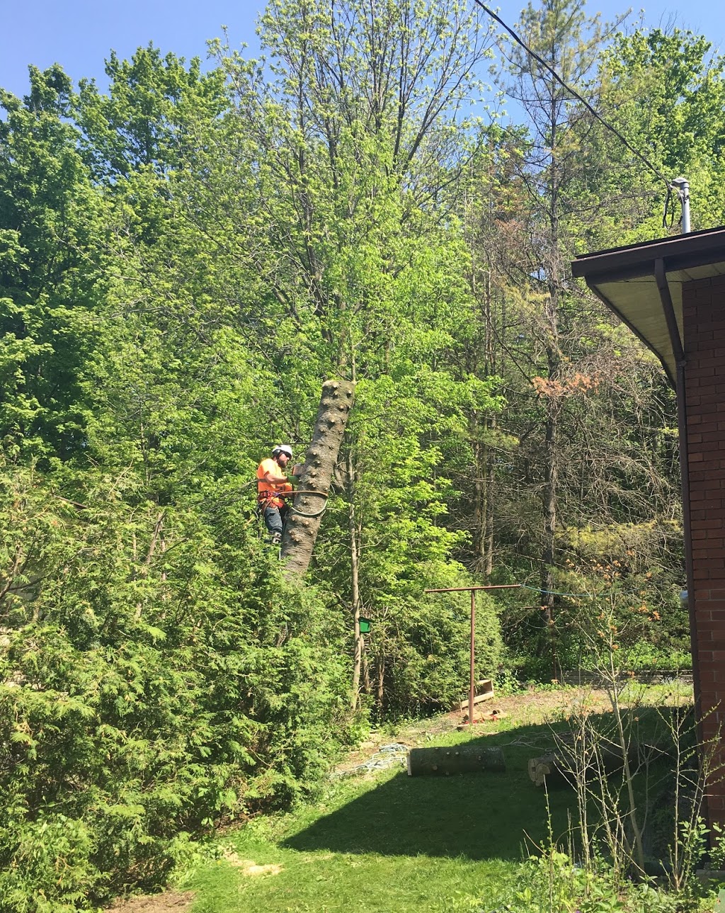 Remers Tree Service | 43889 Hullett McKillop Rd, Walton, ON N0K 1Z0, Canada | Phone: (519) 949-0407