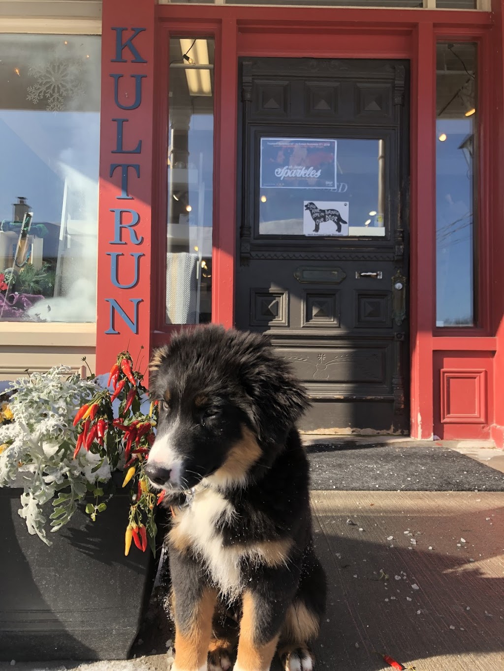 Kultrun Market | 1429 King St N, St. Jacobs, ON N0B 2N0, Canada | Phone: (519) 884-4949