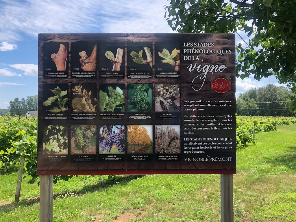 Vignoble Prémont | 2030 Rue Paul Lemay, Sainte-Angèle-de-Prémont, QC J0K 1R0, Canada | Phone: (819) 268-6094