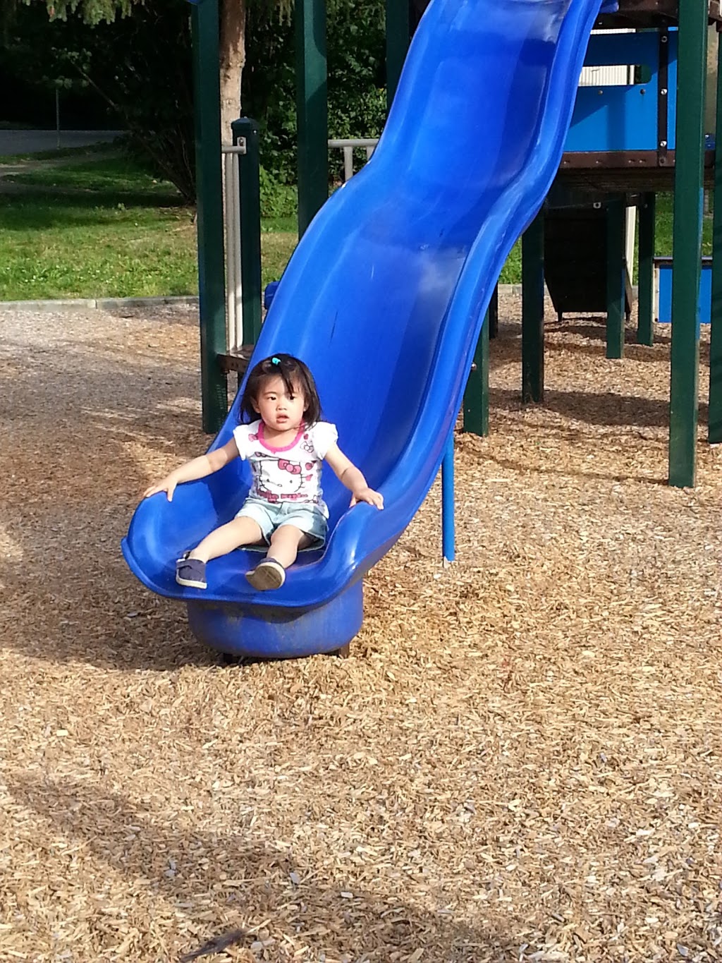 Greentree Village Community Centre | 4295 Garden Grove Dr, Burnaby, BC V5G 4G8, Canada | Phone: (604) 433-0252