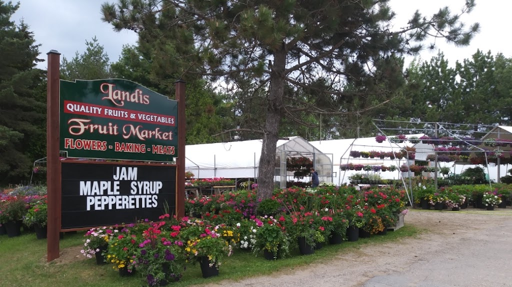 Landis Fruit Market | 503 Hastings St N, Bancroft, ON K0L 1C0, Canada | Phone: (613) 332-6830