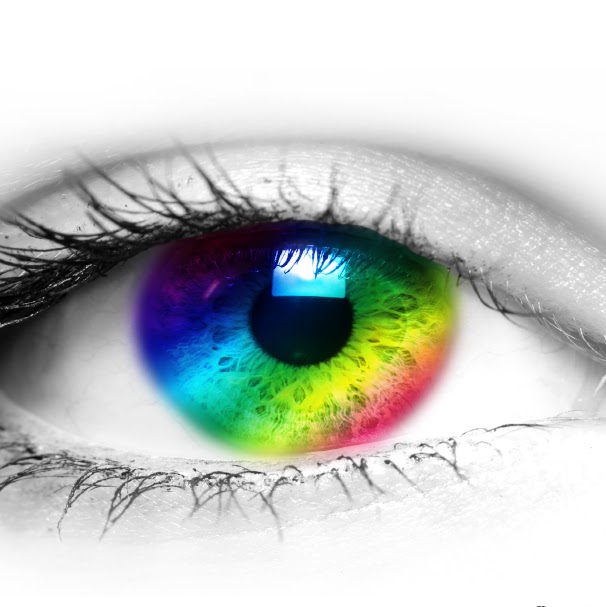 True Colour Painting | 11614 76 Ave NW, Edmonton, AB T6G 0K8, Canada | Phone: (780) 919-7772