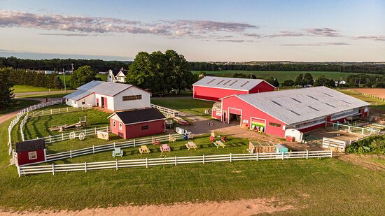 Island Hill Farm | 351 Route 225, Hampshire, PE C0A 1Y0, Canada | Phone: (902) 218-1673