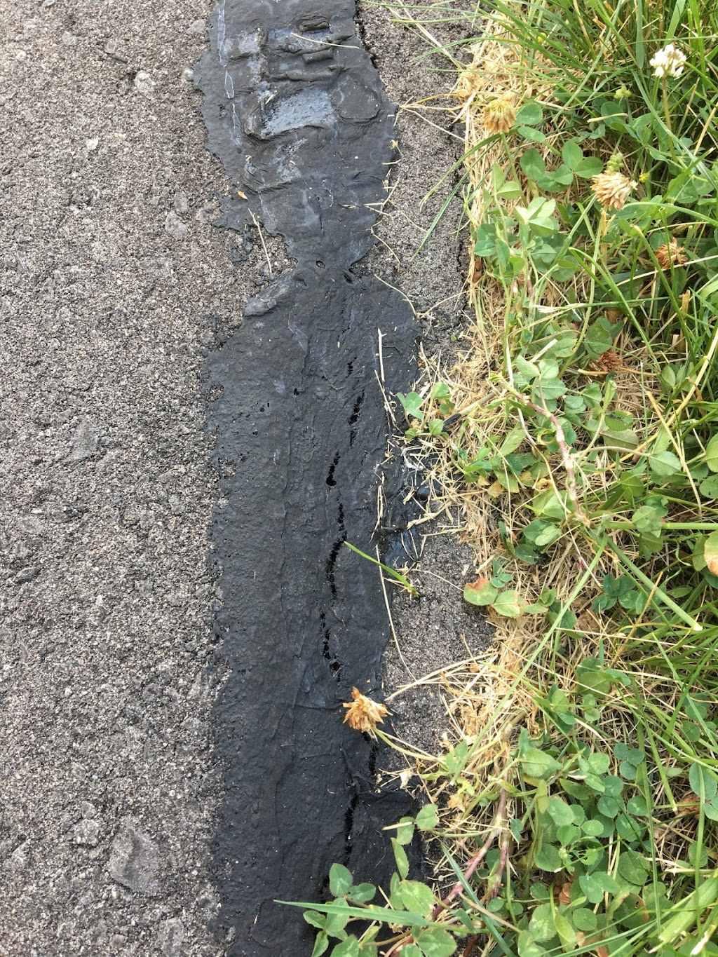 Walton Paving Ltd | Simona Dr, Bolton, ON L7E 4E8, Canada | Phone: (416) 213-0331