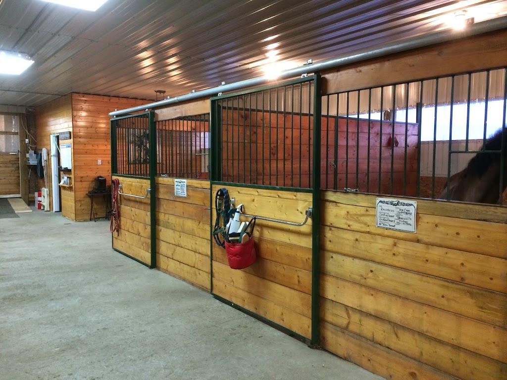 Steel Creek Equestrian | 39RM+CP, Millet, AB T0C 1Z0, Canada | Phone: (780) 542-1236