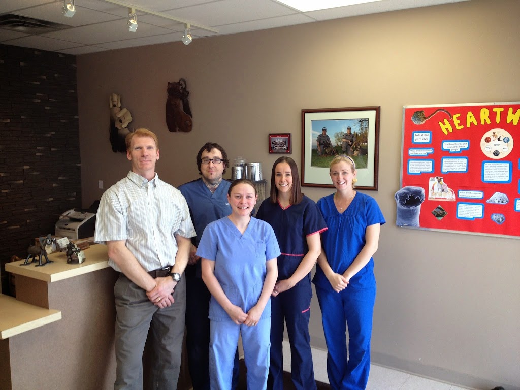 Dissette Animal Hospital | 100 Dissette St #3, Bradford, ON L3Z 3G8, Canada | Phone: (905) 775-1114