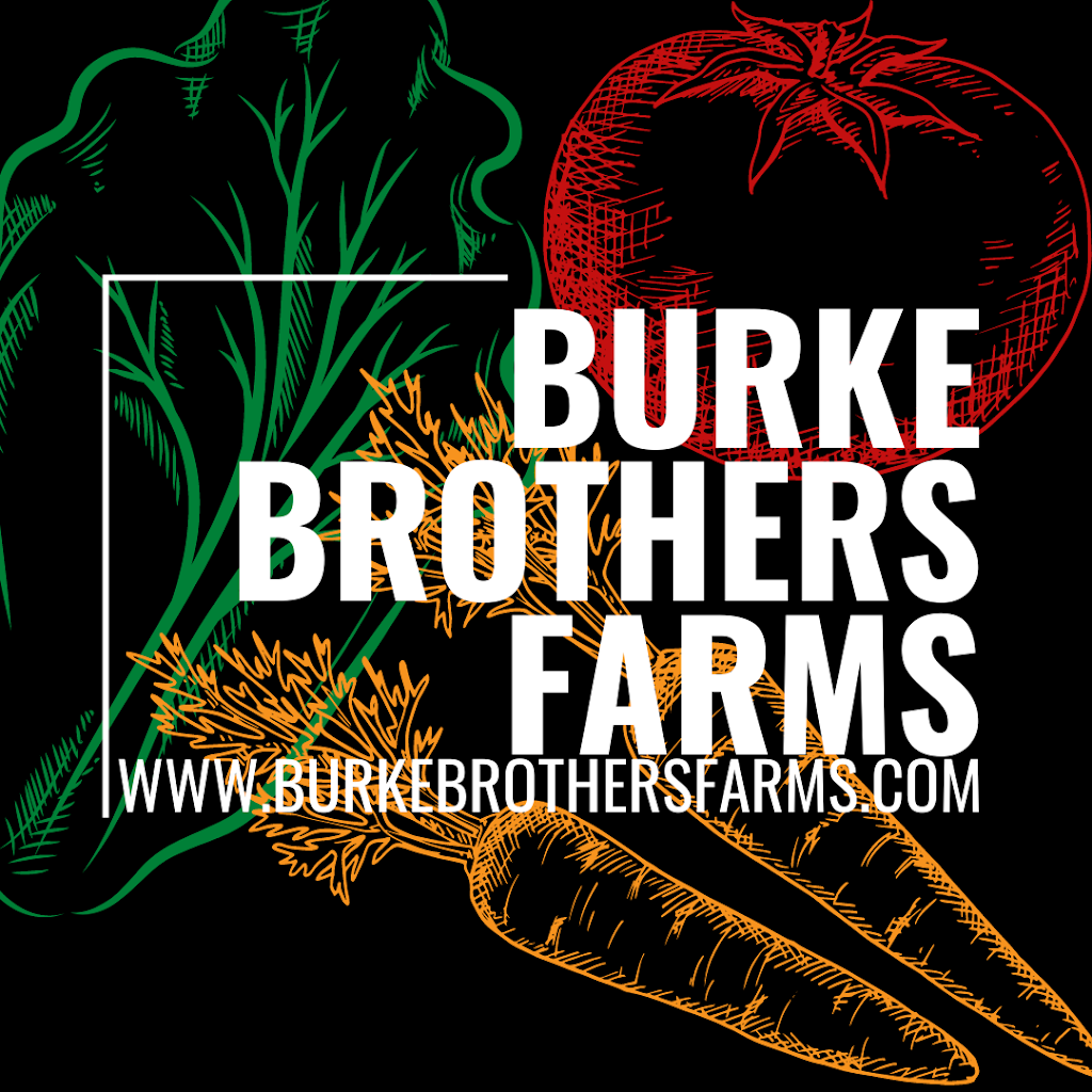 Burke Brothers Farms | 1705 Villa Nova Rd, Wilsonville, ON N0E 1Z0, Canada | Phone: (519) 865-7370