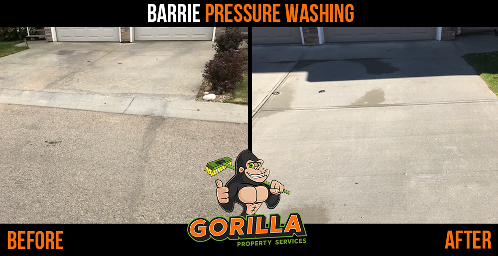 Gorilla Property Services | 65 Cedar Pointe Dr Ste 247, Barrie, ON L4N 9R3, Canada | Phone: (705) 805-0244