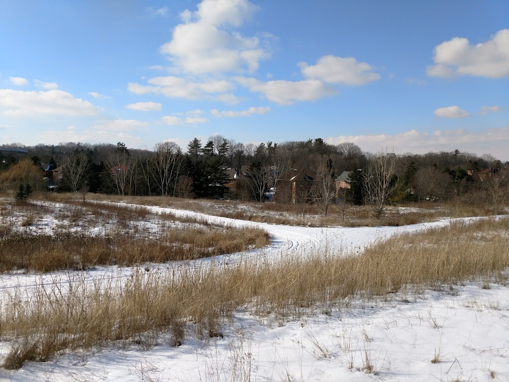 Springbank Meadows Park | 2210 Springbank Rd, Mississauga, ON L5H 3N5, Canada