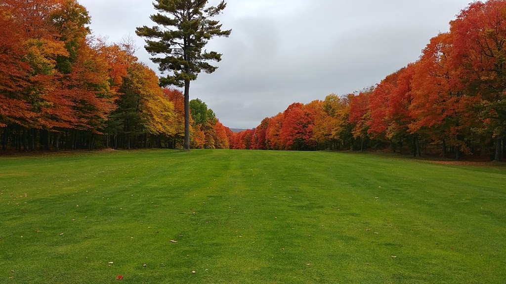 Club de Golf Des Pins | 1140 route Philomène-Thibodeau, Saint-Alban, QC G0A 3B0, Canada | Phone: (800) 223-5210
