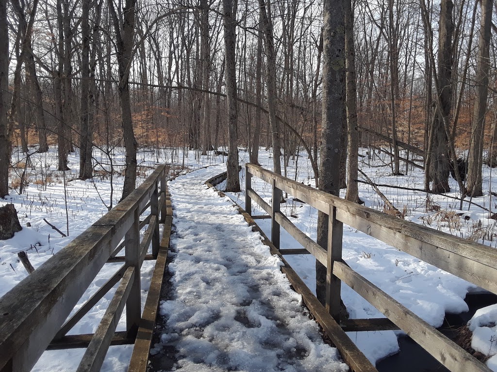 Sudden Tract | 1841 Spragues Rd, Cambridge, ON N1R 5S5, Canada