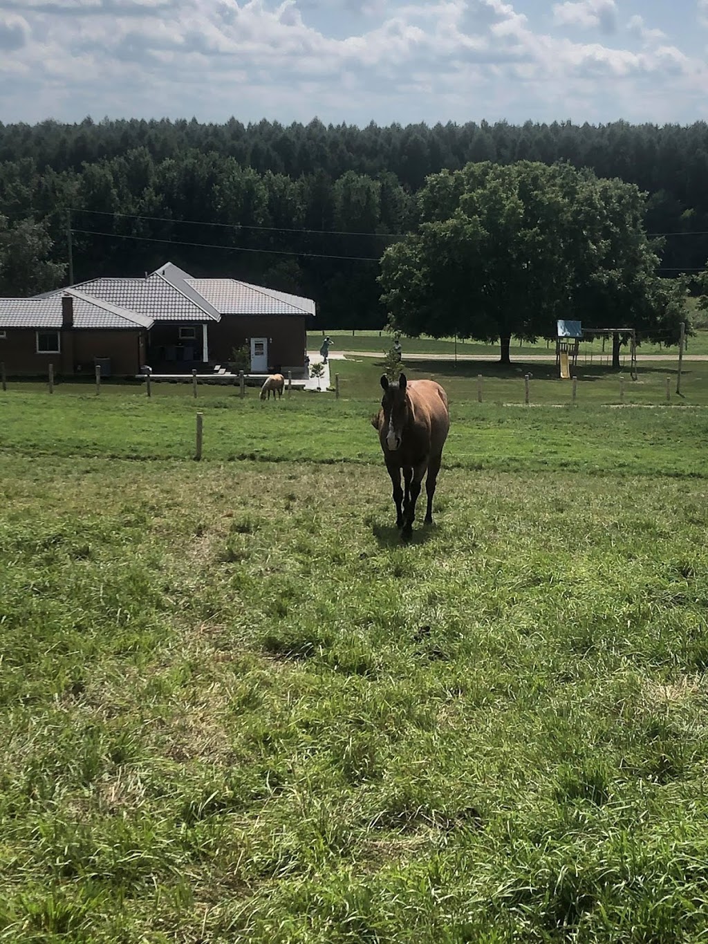 Echo Valley Ranch | 7074 Side Rd 15, Moorefield, ON N0G 2K0, Canada | Phone: (519) 638-5951