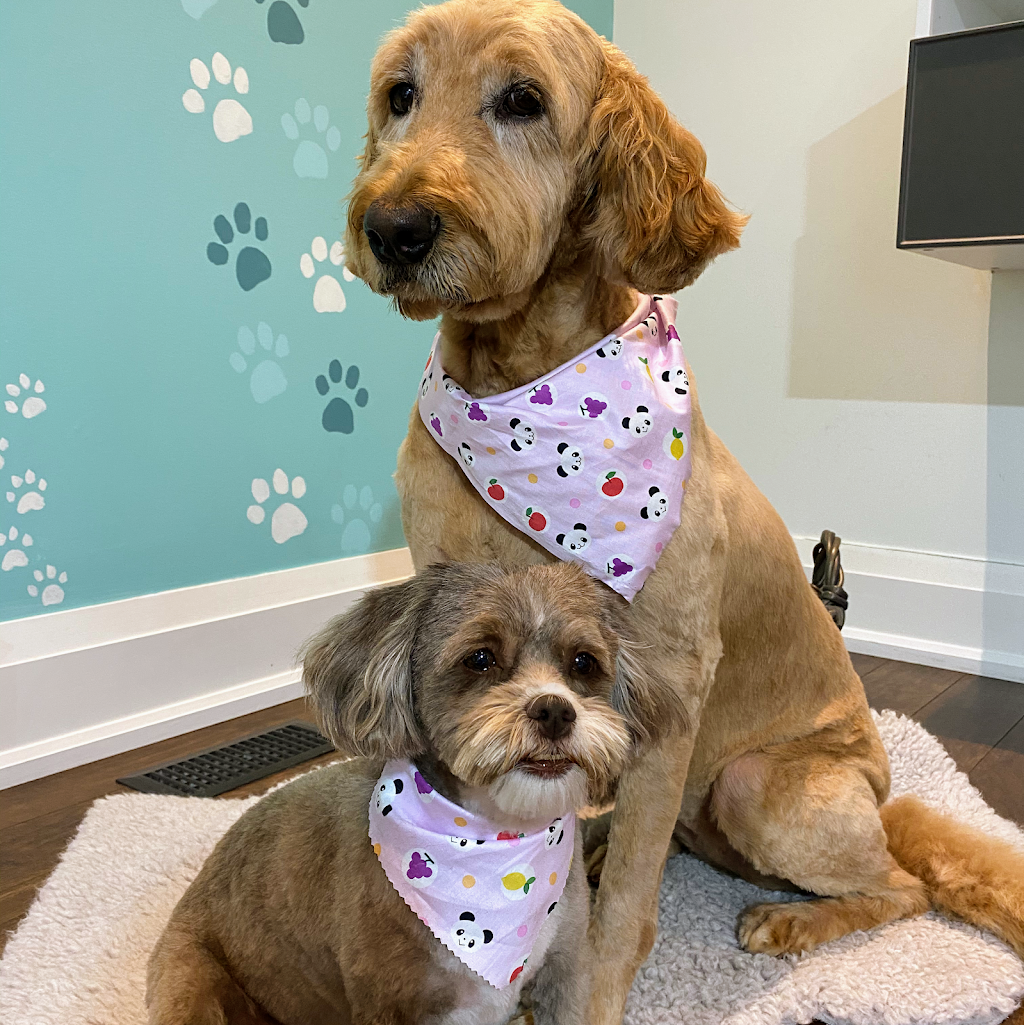 Grooming Loft Pet Salon | 187 Wilfred Ave, North York, ON M2N 5C8, Canada | Phone: (416) 836-2311